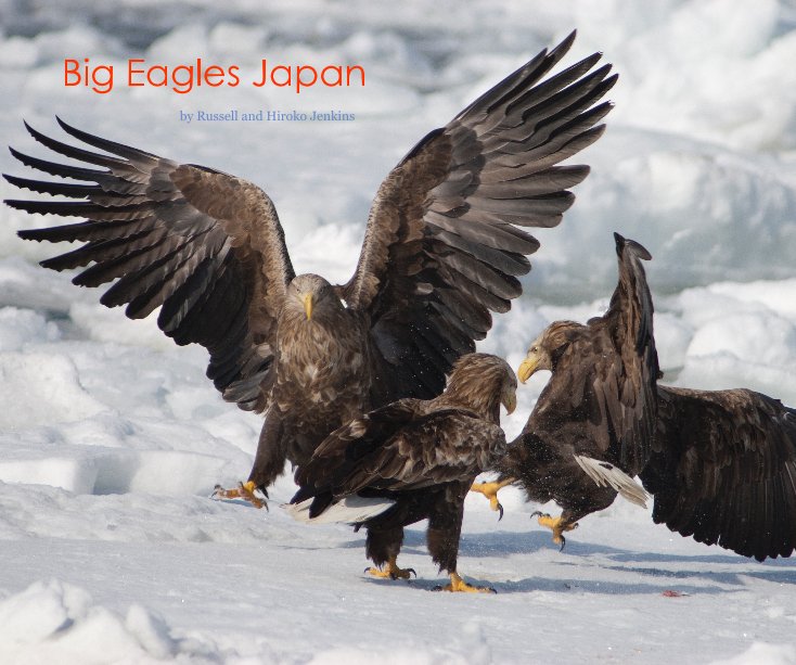 View Big Eagles Japan by Russell and Hiroko Jenkins