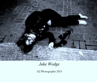 Jake Wedge book cover
