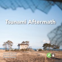 Tsunami Aftermath book cover
