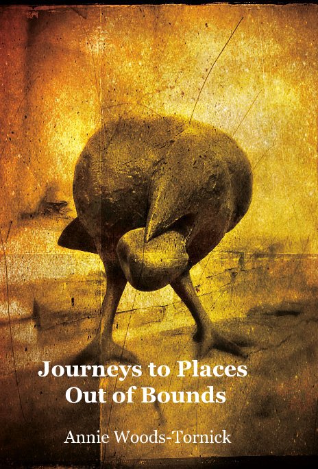 Visualizza Journeys to Places Out of Bounds di Annie Woods-Tornick