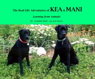 The Real Life Adventures of KEA & MANI book cover