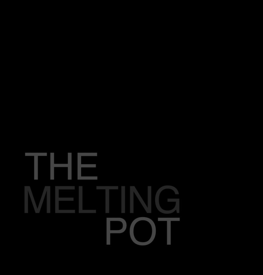 View The Melting Pot by Estefania Marquez