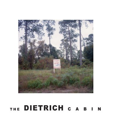 THE DIETRICH CABIN book cover
