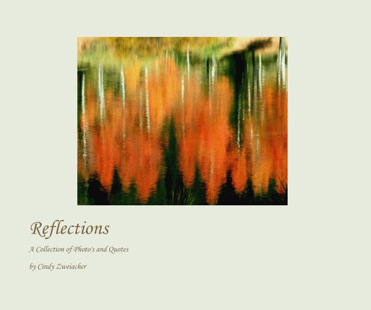 View Reflections by Cindy Zweiacher