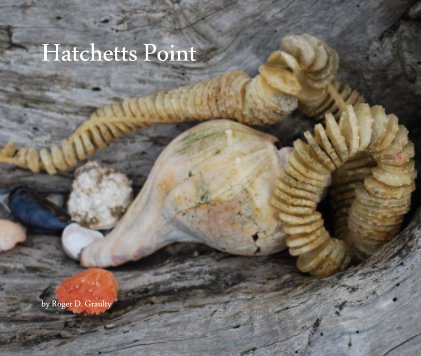 Hatchetts Point book cover