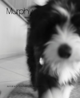 Murphy book cover