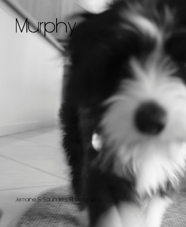 View Murphy by Jermaine S. Saunders Photography