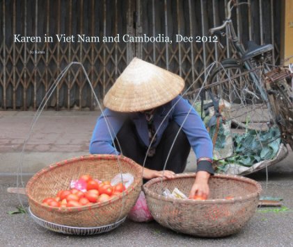 Karen in Viet Nam and Cambodia, Dec 2012 book cover