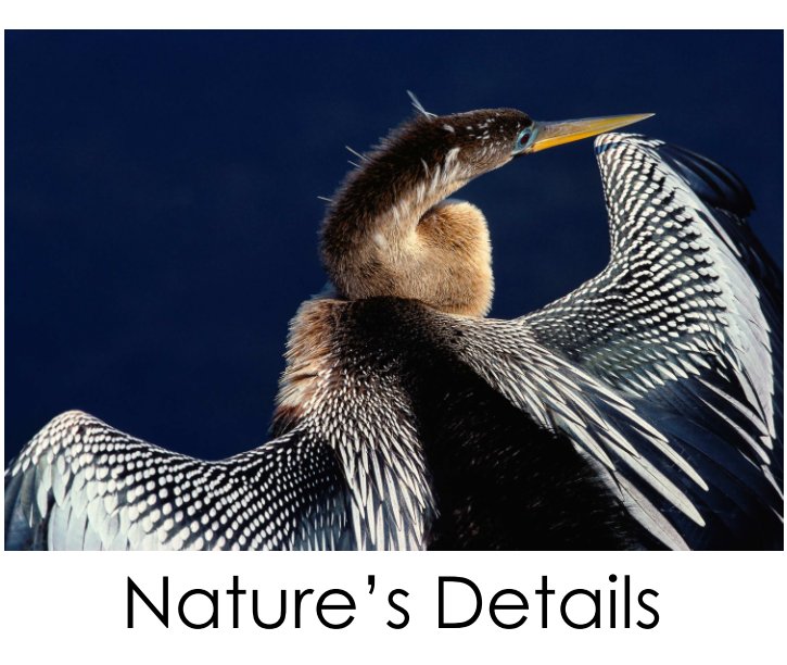 Ver Nature's Details: a portfolio por Douglas Gruenau