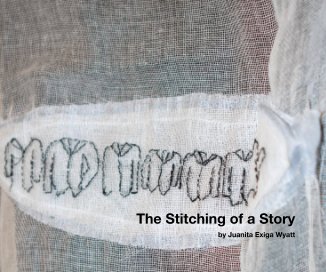 The Stitching of a Story book cover