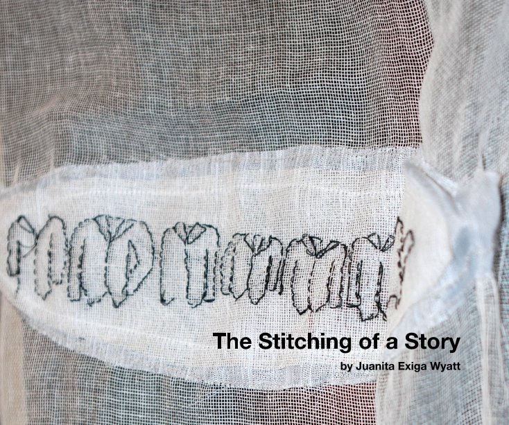 Ver The Stitching of a Story por Juanita Exiga Wyatt