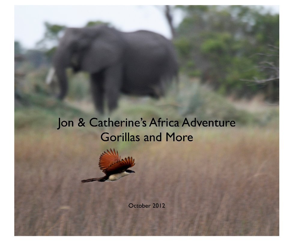 View Jon & Catherine's Africa Adventure
Gorrillaas and More by jwda