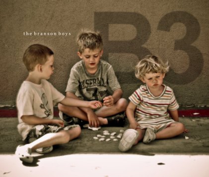 B3:  The Branson Boys book cover