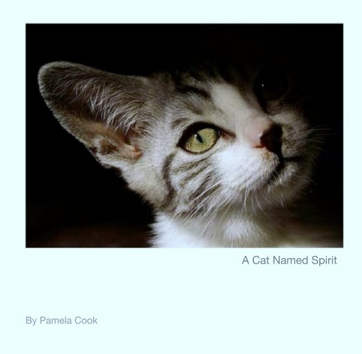 View A Cat Named Spirit by Pamela Cook