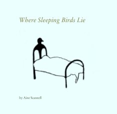 Where Sleeping Birds Lie book cover