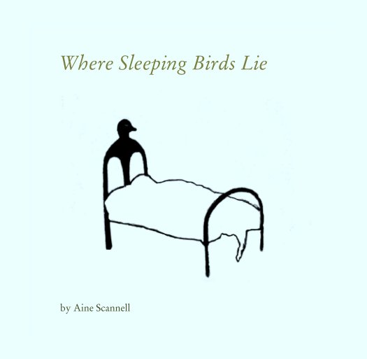 View Where Sleeping Birds Lie by Aine Scannell