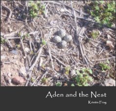 Aden and the Nest book cover