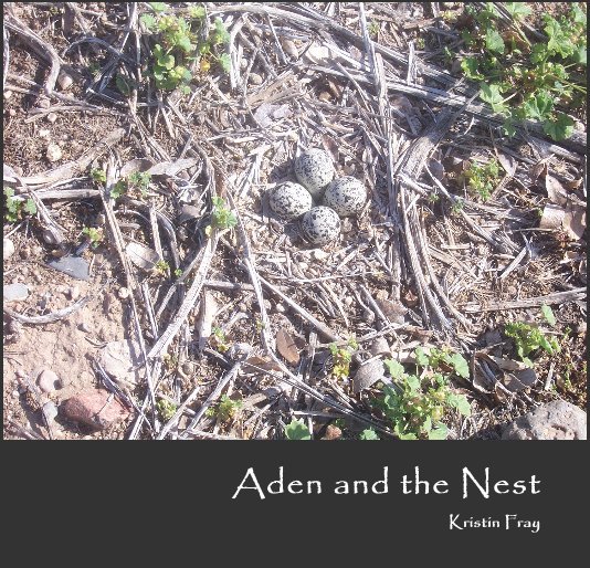 View Aden and the Nest by Kristin Fray