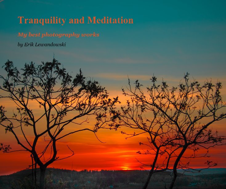 View Tranquility and Meditation by Erik Lewandowski