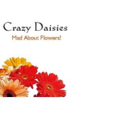 Crazy Daisies Volume 1 book cover