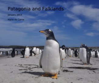 Patagonia and Falklands book cover