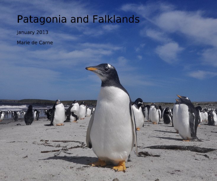 View Patagonia and Falklands by Marie de Carne
