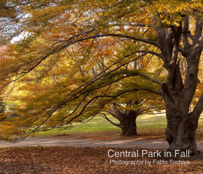 View Central Park in Fall by Fabio Tuchiya