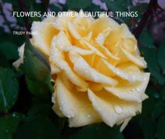 FLOWERS AND OTHER BEAUTIFUL THINGS book cover