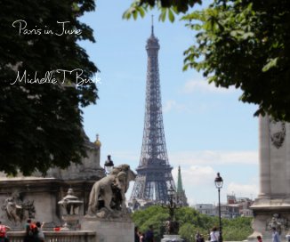 Paris in June Michelle T. Burk book cover