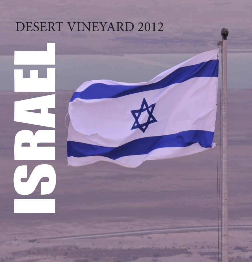 View Desert Vineyard Israel 2012 by dhummel