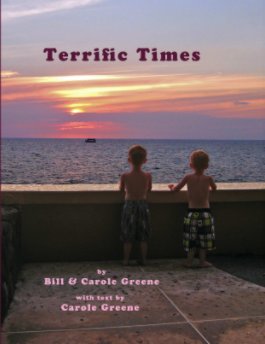 Terrific Times book cover