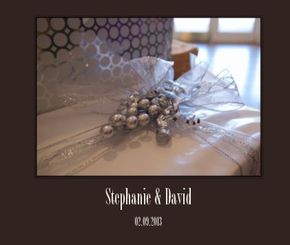 Stephanie & David book cover