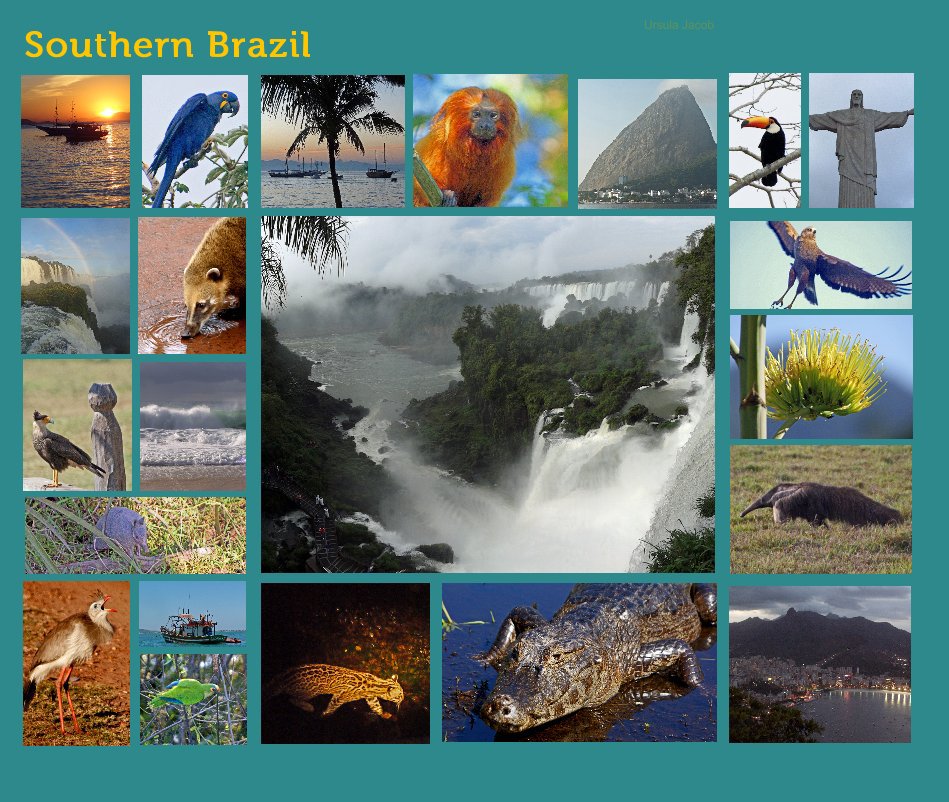 View Southern Brazil by Ursula Jacob