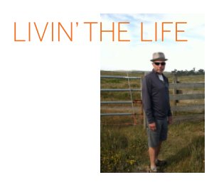Livin' the Life book cover