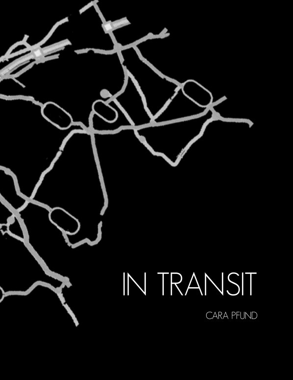 View In Transit by Cara Pfund