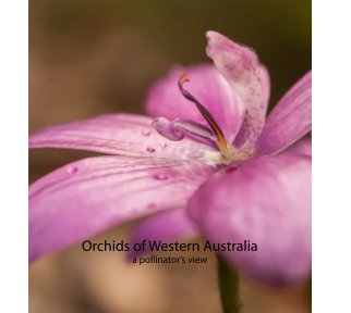 Orchids of Western Australia book cover