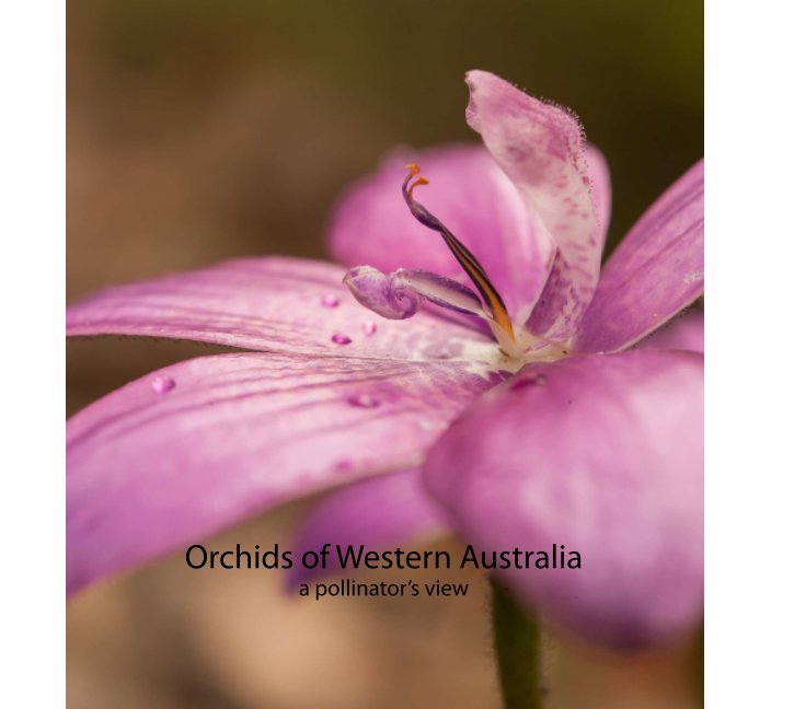 View Orchids of Western Australia by Alexander Mowatt