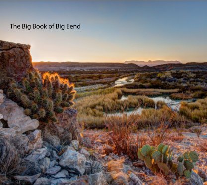 Big Book of Big Bend book cover