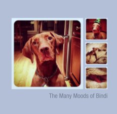 The Many Moods of Bindi book cover