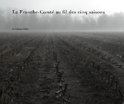 La Franche-Comté au fil des cinq saisons book cover