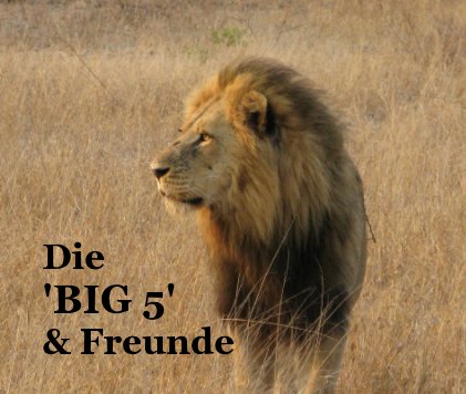 Die 'BIG 5' & Freunde book cover