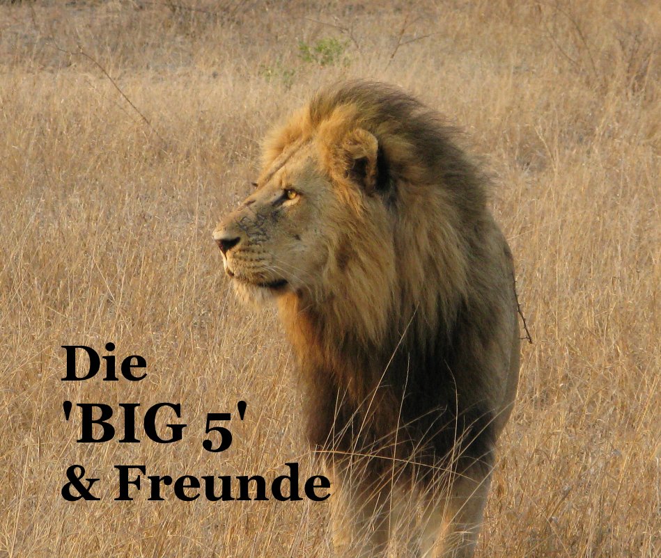 View Die 'BIG 5' & Freunde by Xis Fawkes