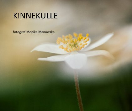 KINNEKULLE book cover