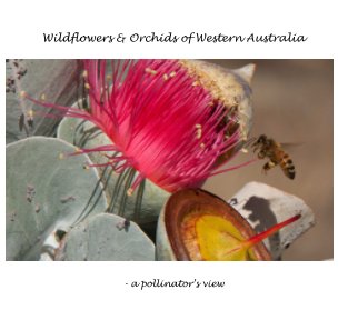 Wildflowers and Orchids of Western Australia book cover