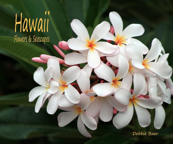 View Hawaii by Debbie Baer