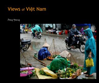 Views of Việt Nam book cover