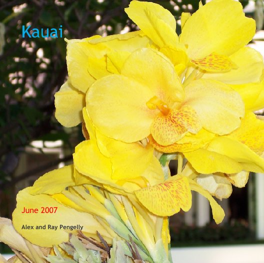 Kauai Vol. 1 nach Alex and Ray Pengelly anzeigen