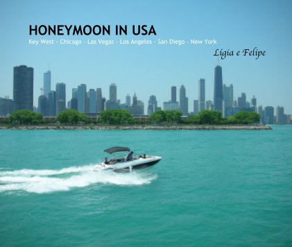 HONEYMOON IN USA Key West - Chicago - Las Vegas - Los Angeles - San Diego - New York Lígia e Felipe book cover