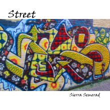 Street book cover