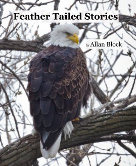 Feather Tailed Stories book cover